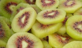 猕猴桃最新爆料视频大全,最新品种与种植技术大曝光