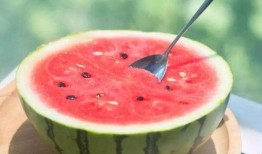 免费在线观看吃瓜,揭秘热门事件幕后真相